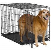 Midwest Клетка для собак iCrate 1